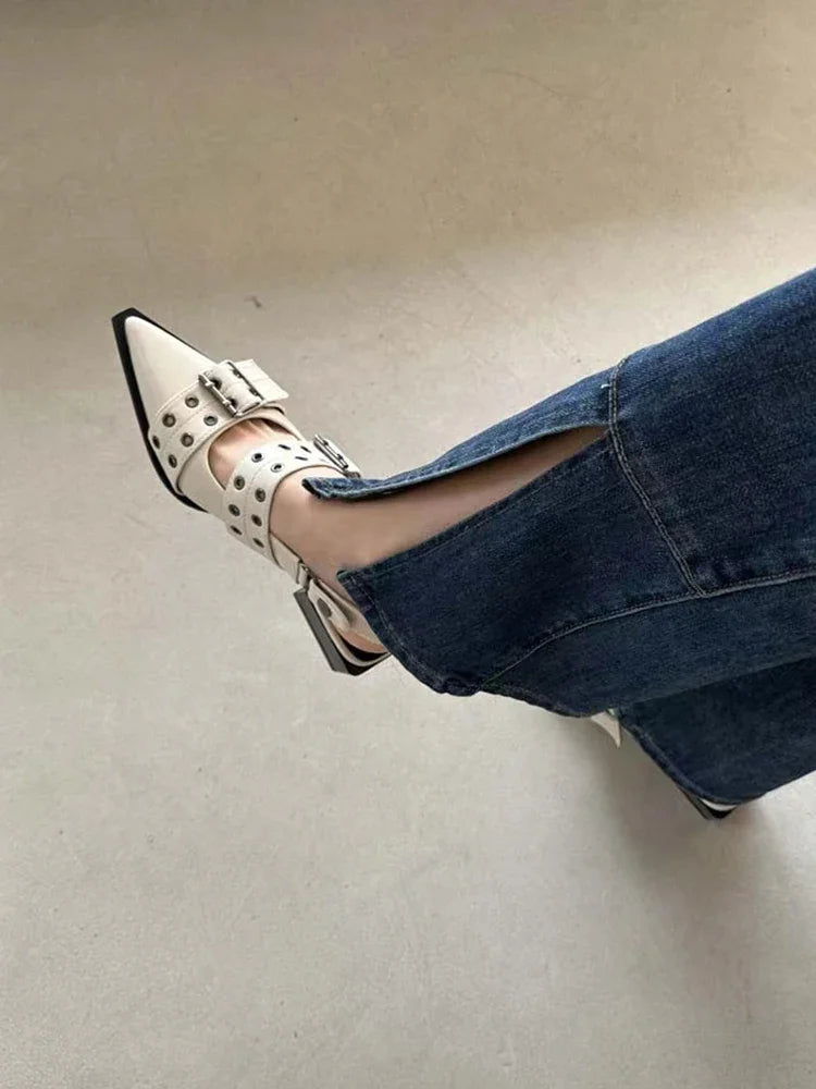 Women's New French Style Pointed Toe Mary Jane Shoes Retro Medium Thick Heel Shoes for Women with Skirts and Small Leather Shoes