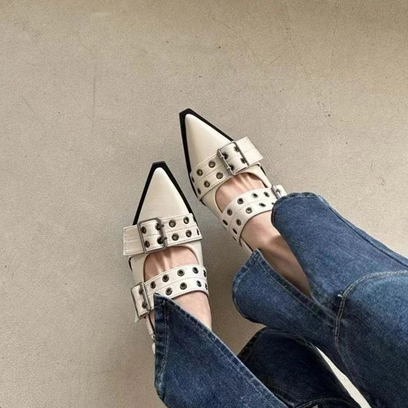 Women's New French Style Pointed Toe Mary Jane Shoes Retro Medium Thick Heel Shoes for Women with Skirts and Small Leather Shoes