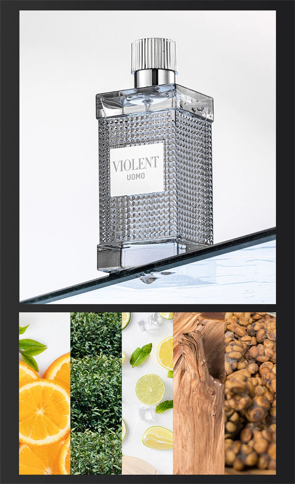High Quality Perfume Men 100ml Lasting Plant Floral Scent Spray Pheromone Perfumes Hombre Fascination Cologne Mens Parfums Homme